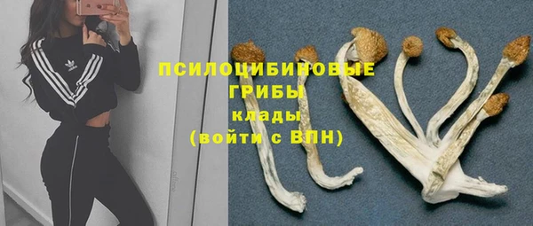 бошки Верея